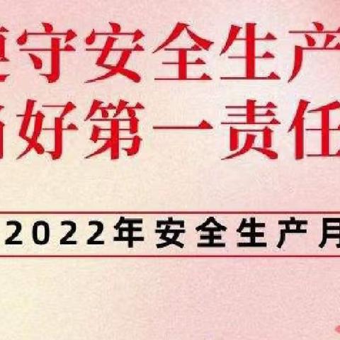 安全相伴，快乐童年－－大新寨学区牛兰甸小学“6.16安全生产咨询日”宣传