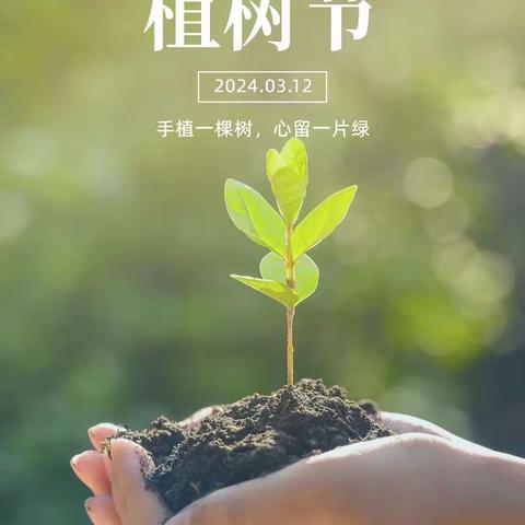 相逢植树节，爱在春风里——中二班植树节活动