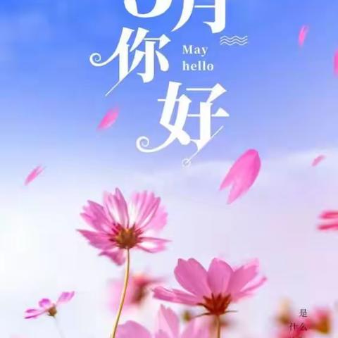 芳菲五月    活力小班———小班5月精彩活动瞬间