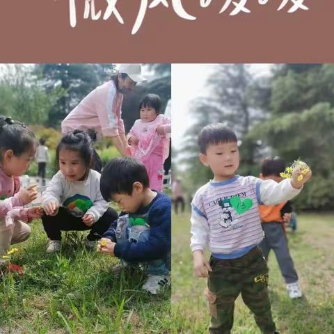 【贾汪区中心幼儿园--研发卓越课程 】“从春天启程  向未来出发”远足实践活动