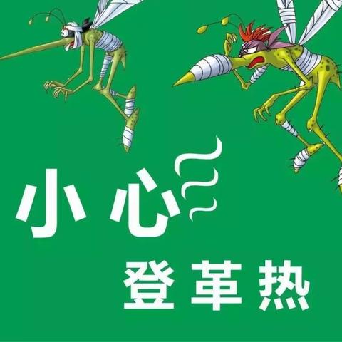 定安县富文镇坡寨学校2023年年度春季爱国卫生运动暨预防登革热防控工作简报