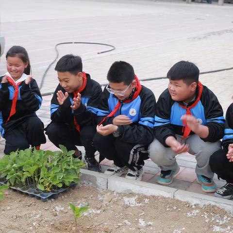 体验田园风情，感受劳动快乐！——河北小学教育集团北刘口小学