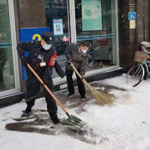 迎风战雪，济南分行迅速开展清扫积雪活动