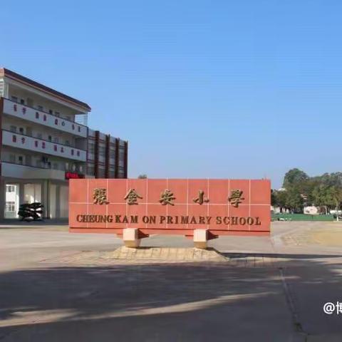 “务实基础，稳步提高”，——张金安小学开展五年级教学经验交流备考会