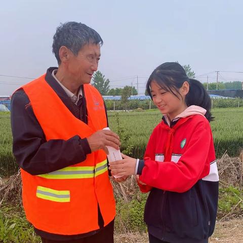 致敬身边最美劳动者——菏泽鲁西新区马岭岗镇中心小学分校“五一”国际劳动节活动