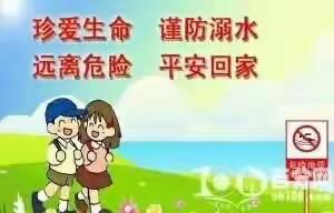 远离危险水域，珍爱宝贵生命———盐镇乡张村小学防溺水安全教育