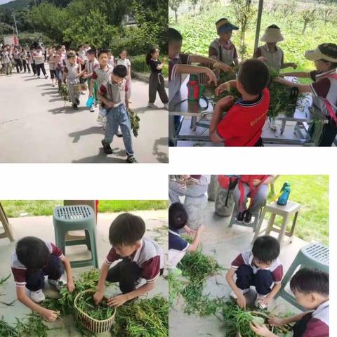 青州中学二年级研学之旅第一站——清风峪