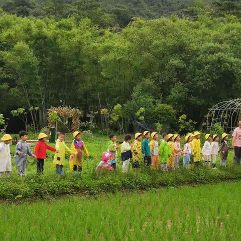 太阳家回顾