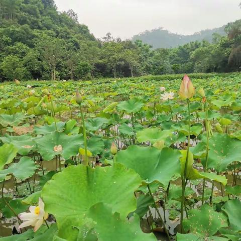 太阳家回顾