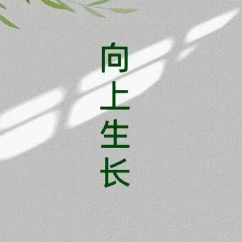 优质课堂，“语”你共成长——城关小学四年级语文优质课赛教活动