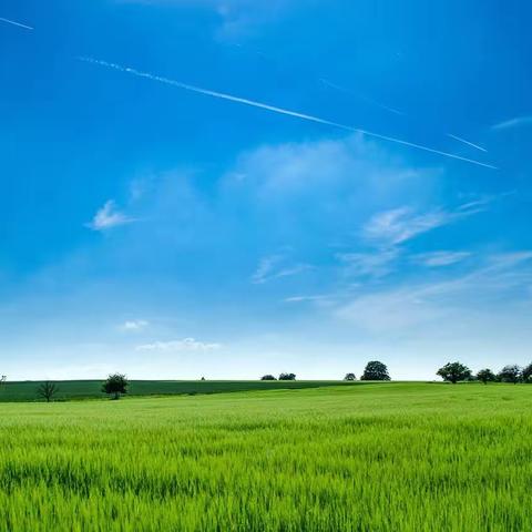 商水县舒庄乡第一期校长论坛——脚踏实地   创新发展