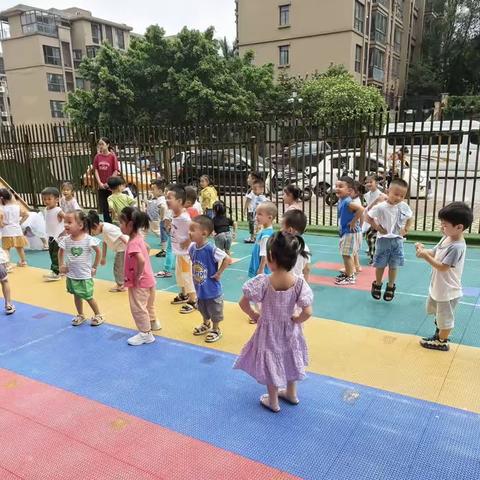 蓝天幼儿园小二班本周精彩回顾🌈