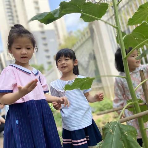 小三班，走去散步