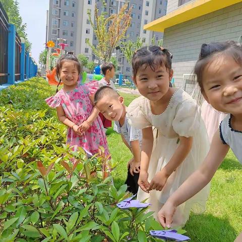 【一小幼儿园】“夏日绵长 如约而至”夏至节气活动