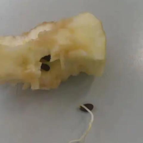 阳光劳动