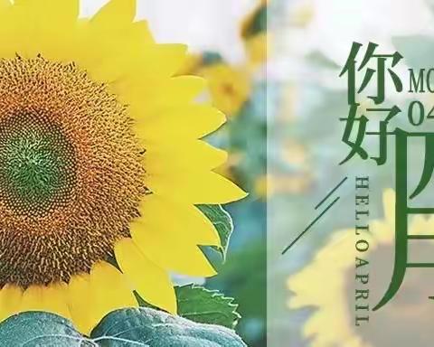 「四月春晓，落入美好🌿」——太阳班