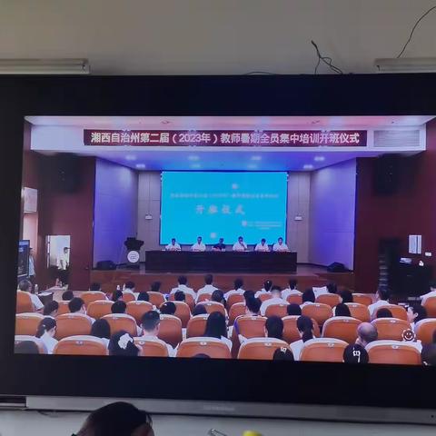 潜心向学，赋能成长 —记2023年暑期培训第一天