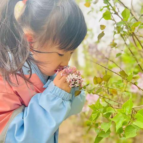 小百合儿童之家4月特辑 ｜蒙特梭利教育中的幼儿心理歧变的分析