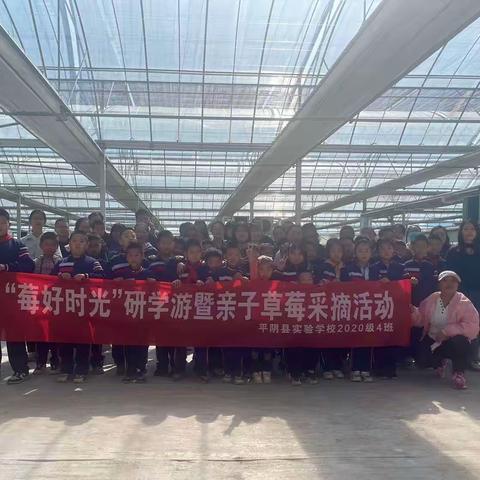 【实验学校2020级4班】“莓好时光”研学游暨亲子采摘活动
