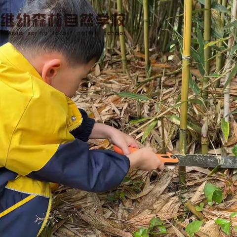 五月风，洋溢着笑脸，灿烂着每一朵花儿，用希望的手叩响了沉睡的天空。