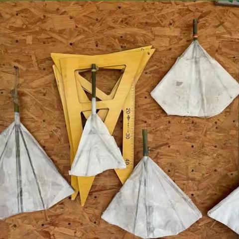 清凉一夏～小柠檬