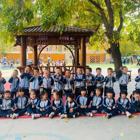 🌸莘迪幼儿园🌸【秋风温柔，十月美好】中三班10月活动精彩回顾📷