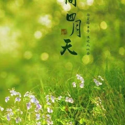 芳菲四月，童心飞扬