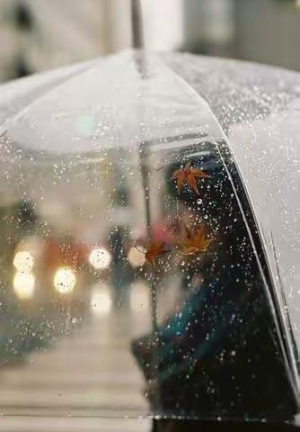 安全—防暴雨安全