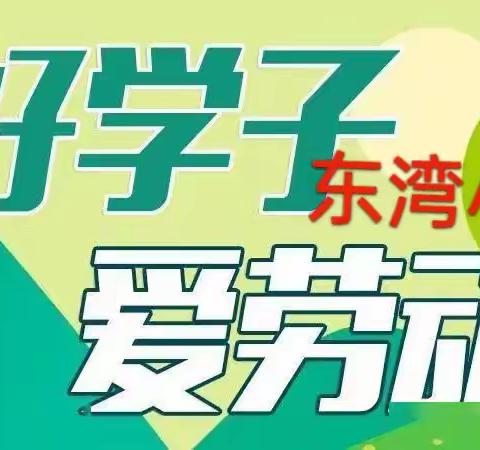 榆中县东湾小学2023秋季劳动教育实践活动