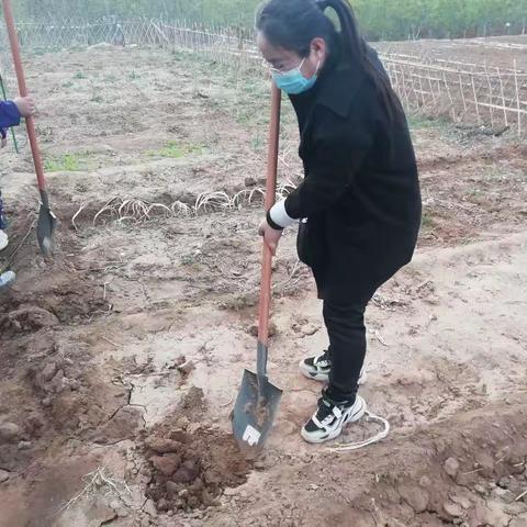 卢龙县第二实验小学太空种子种植实践活动