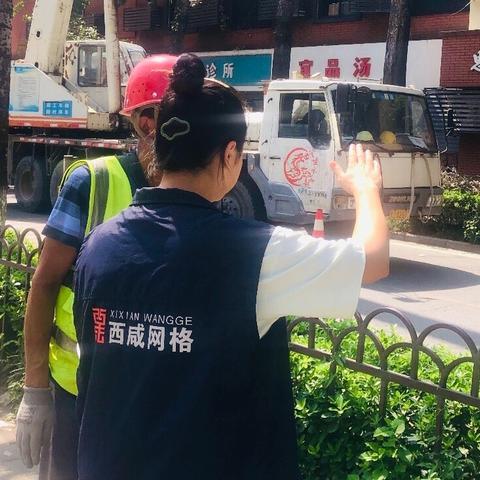 “网格”排查消隐患 “市政”伐树解民忧