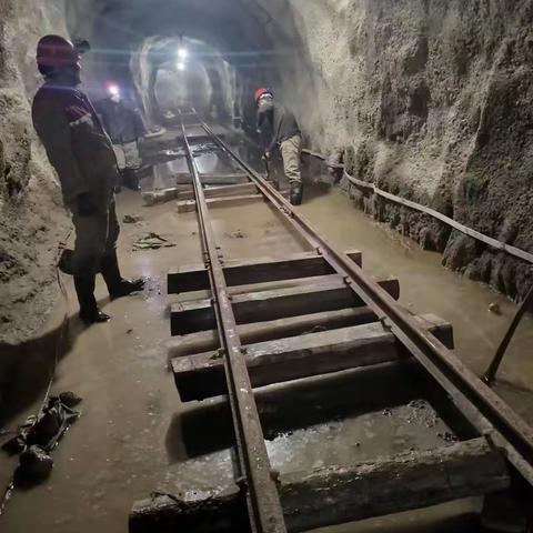 精心组织、携手并进、节能降耗