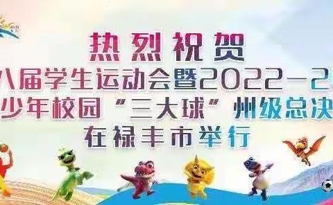 让篮球带我去大舞台——致楚雄州第八届学生运动会暨2022−2023年度青少年校园“三大球”州级总决赛的篮球裁判员