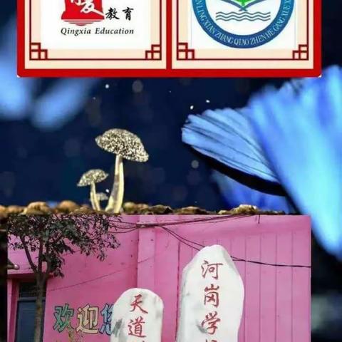 吕老师的美篇