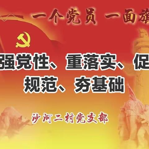 强党性、重落实、促规范、夯基础