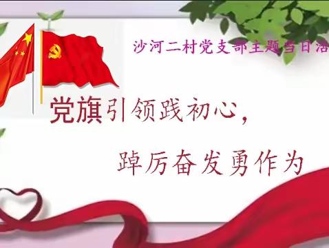 党旗引领践初心，踔厉奋发勇作为