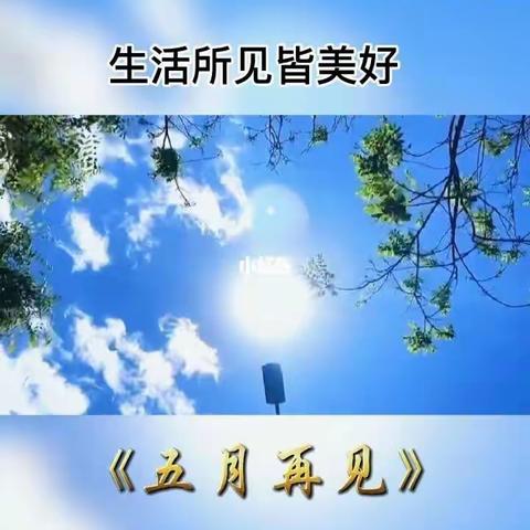 德鑫物业五月工作总结