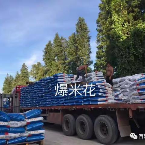 香港土华集团进口特种有机肥•【一粒爆米花】持续到货，火爆走起！