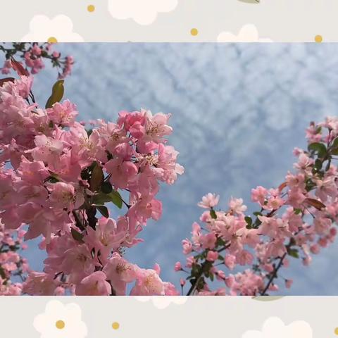 浓情四月🌷因爱而美