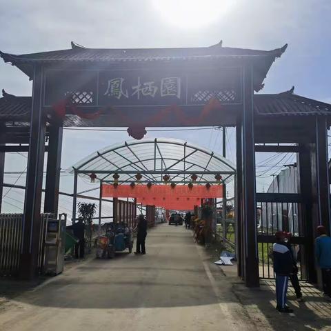 党集镇凤栖园研学——五一特别的劳动节