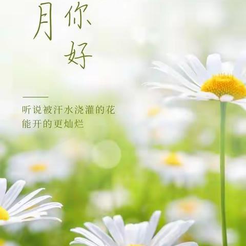 湖南御珑物业管理服务有限公司（御江帝景物业服务中心）7月份工作总结简报