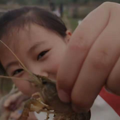 我劳动我快乐——许妙菱