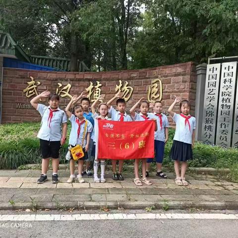 探寻植物奥秘，感知自然之美一记武汉市京汉学校三(6)班研学实践活动