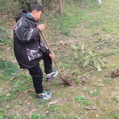 邹张兴的美篇