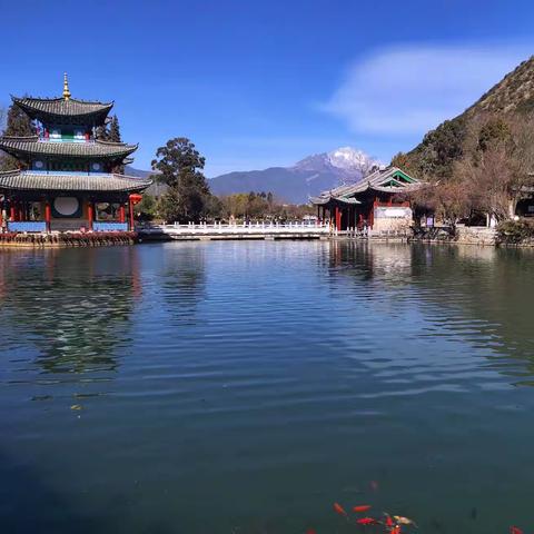 张语宸四月成长记录