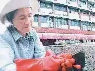 “致敬殷桂兰劳动者，劳动润童心”主题班队实践活动。