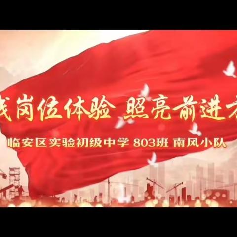 岗位体验·喜迎亚运——“实践岗位体验  照亮前进方向”实践活动——临安区实验初级中学803班南风小队