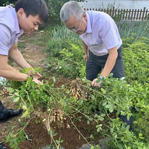 开辟职工小菜园 种出温馨“大家园”