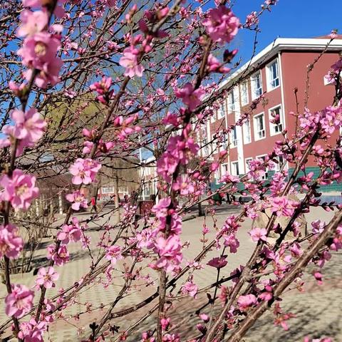 黄土坎小学四年级一班