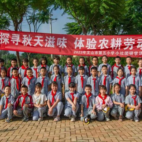 践行民族团结，探寻秋收滋味——记文山市第五小学三（2）班秋游社团活动